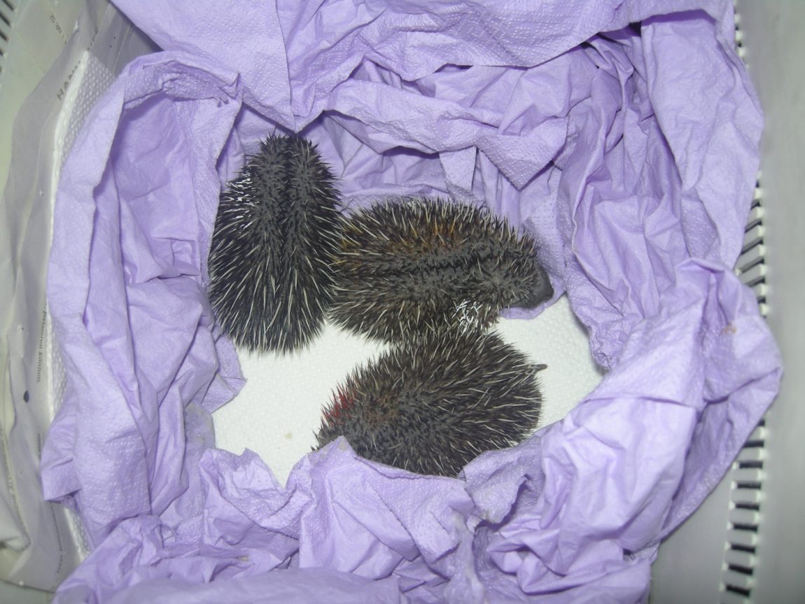 DSCN2308.jpg
